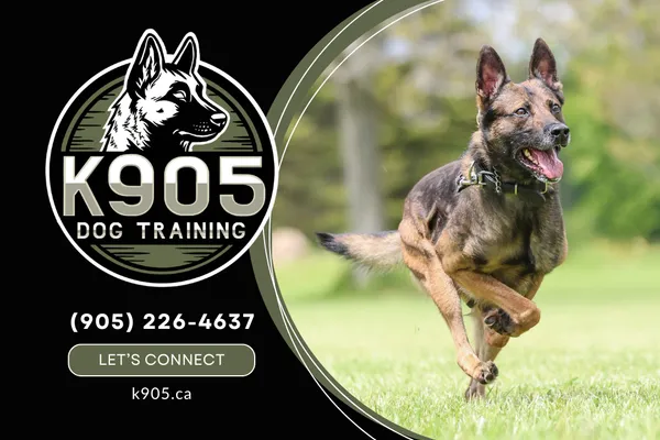 K905 Dog Training