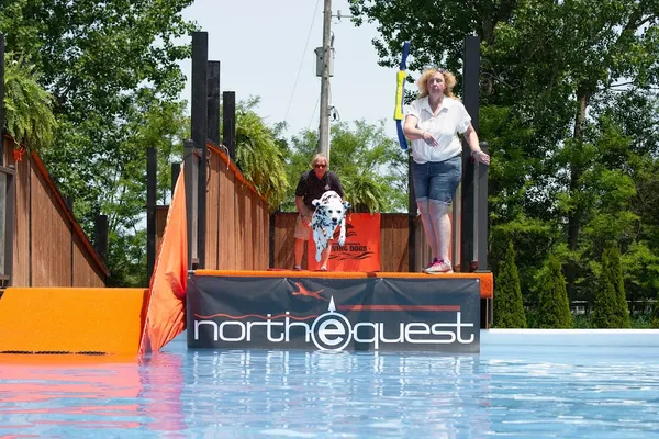 Northequest Canine Sport & Training Facility
