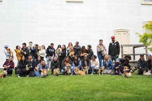 Markham Dog Alliance