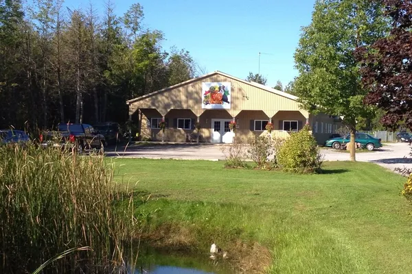 K9 Central Pet Resort, Training and Spa