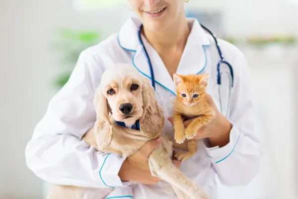 Darlington Veterinary Hospital