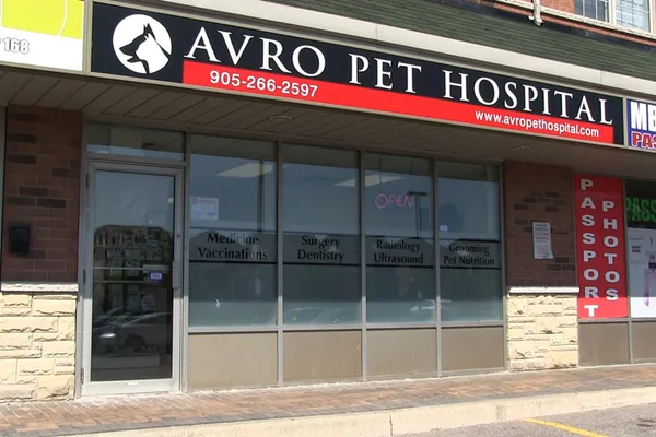 Avro Pet Hospital