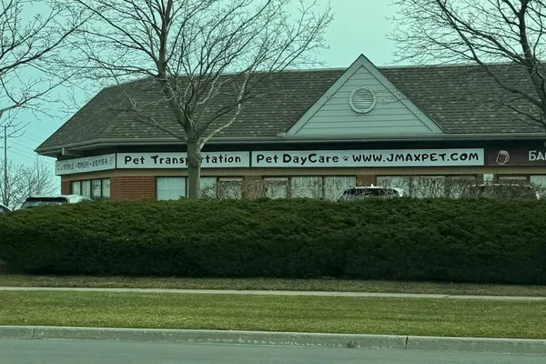 Pet Transportation Pets Day Care
