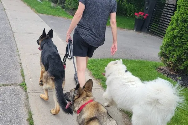HighLifeK9s
