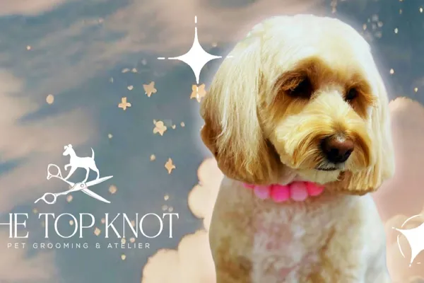 The Top Knot Pet Grooming & Atelier