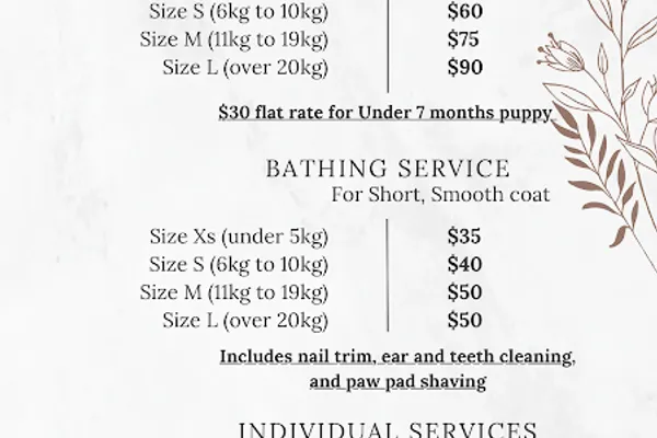 LILO’s pup spa