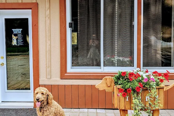 Ritson Doggy Retreat
