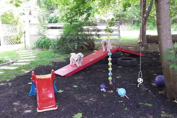 PupVacay