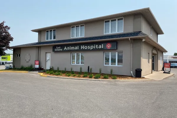 East Oshawa Animal Hospital
