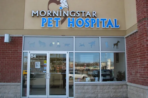 Morningstar Pet Hospital