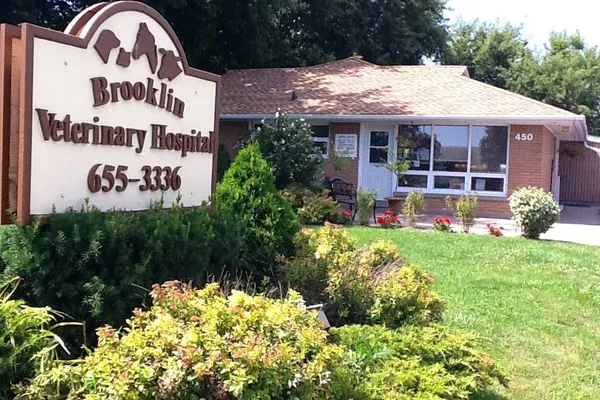 Brooklin Veterinary Hospital