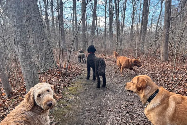 Trail-Tails
