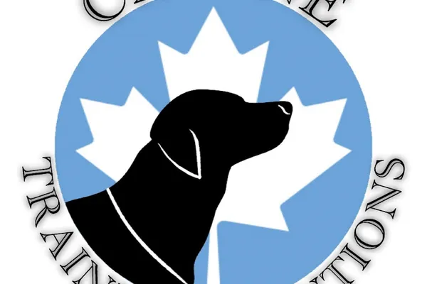 Canine Training Solutions