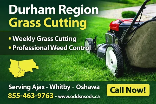 Odds N Sods Property Care