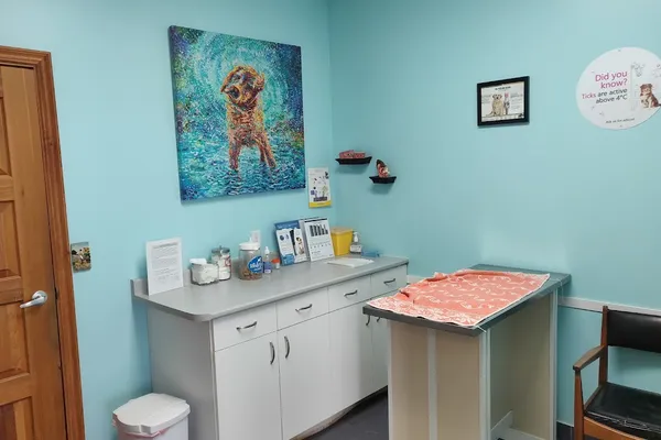 Newmarket Animal Hospital