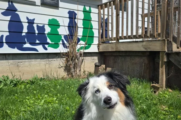 Hello Pets Inc.