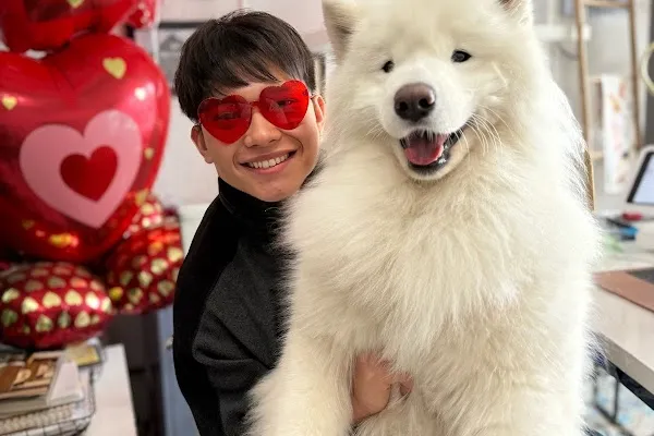 Debonair Dogs Daycare & Grooming