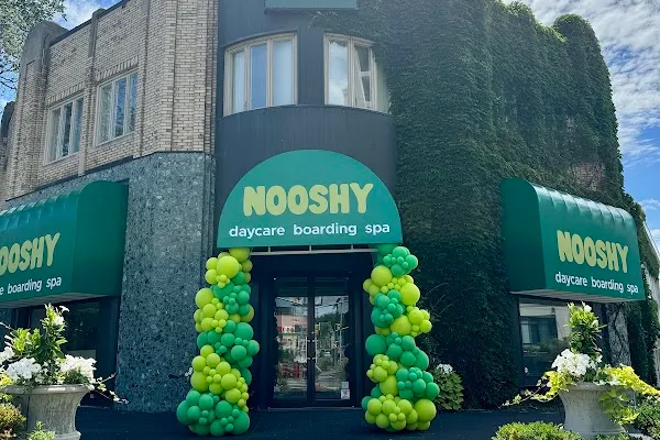 Nooshy Bloor West Village