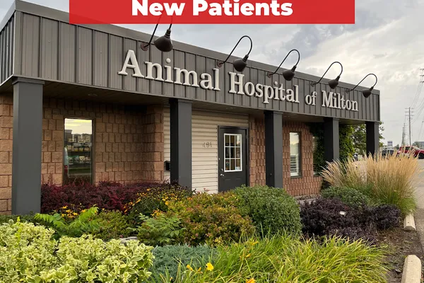 Toronto Academy of Veterinary Medicine