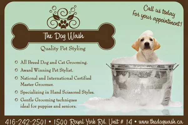 The Dog Wash Inc.