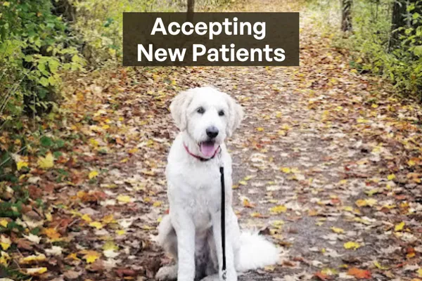 Georgetown Animal Clinic