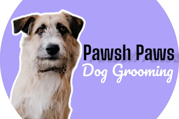 Pawsh Paws by Nici