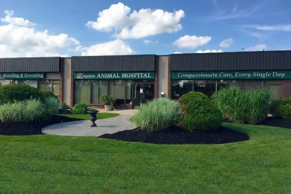 Kingsdale Animal Hospital