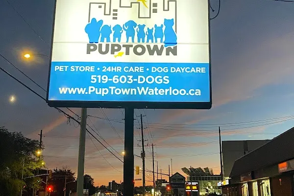 PupTown Waterloo