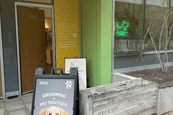 The Good Dog Collective Studio & Boutique
