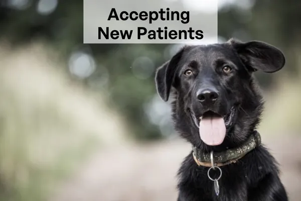 Manitou Animal Hospital