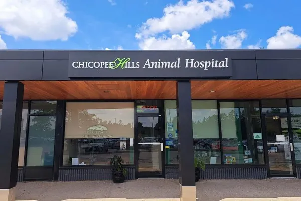 Chicopee Hills Animal Hospital