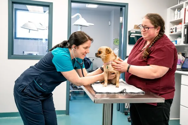 Kitchener Waterloo Humane Society