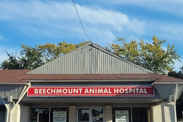Beechmount Animal Hospital