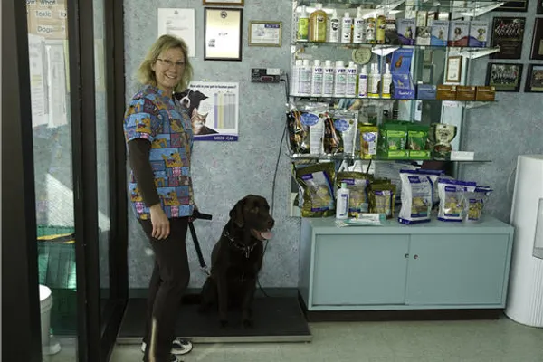 Ayr Animal Hospital