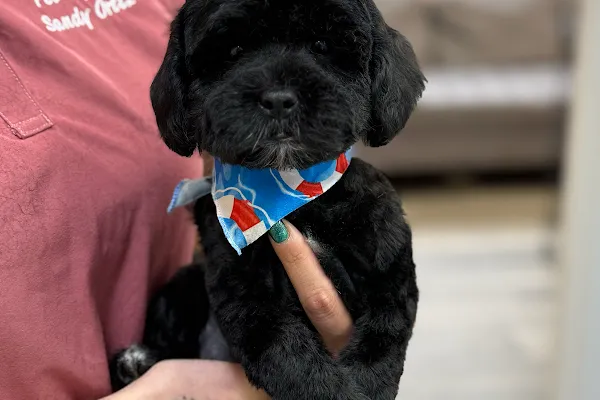 Patito & Tokio Pet Grooming Salon