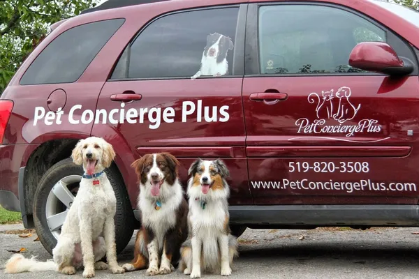 Pet Concierge Plus