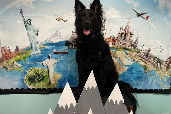 Dog Friendly KW