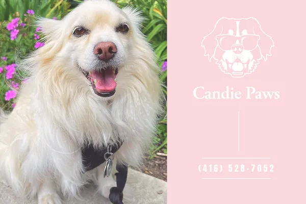 Candie Paws