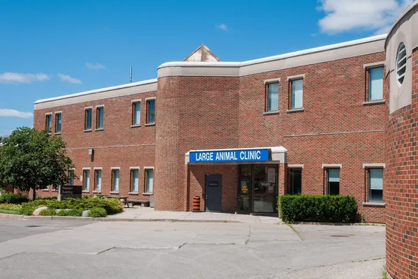 OVC Large animal clinic
