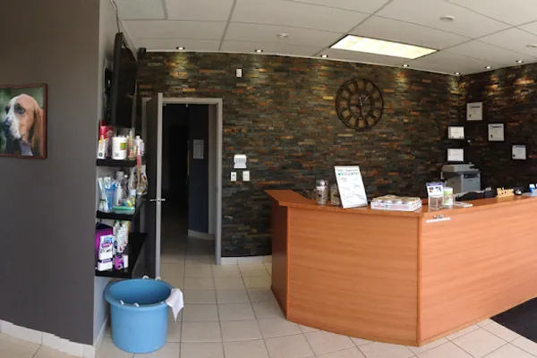 Downey Animal Hospital