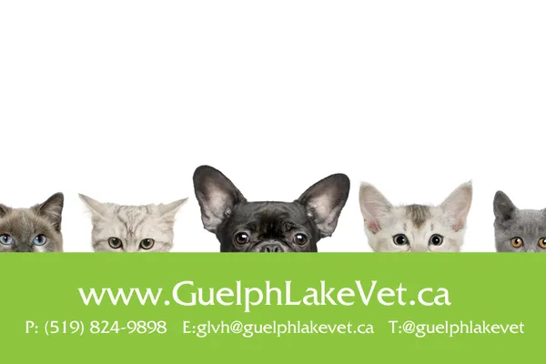 Guelph Lake Veterinary Hospital