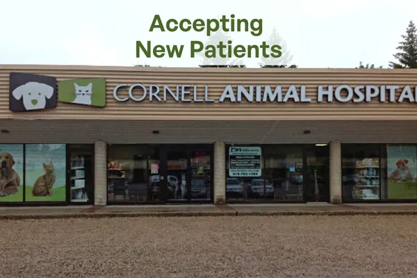 Cornell Animal Hospital