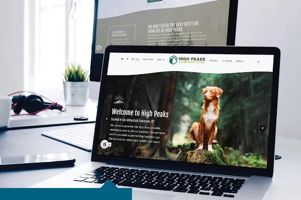 LifeLearn Animal Health