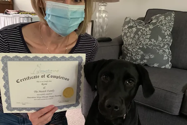 Pawsitive Ways Dog Training