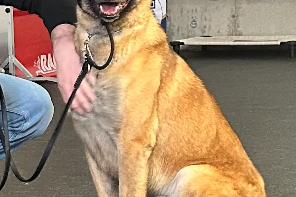 Shield K9 Ottawa