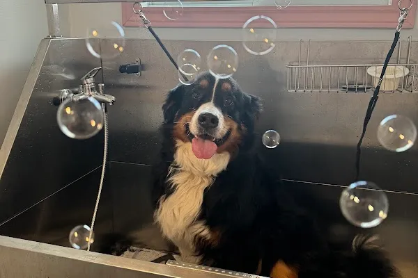 Victoria’s Spa Fur Paws