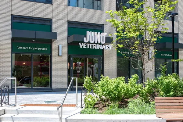 Juno Veterinary King West