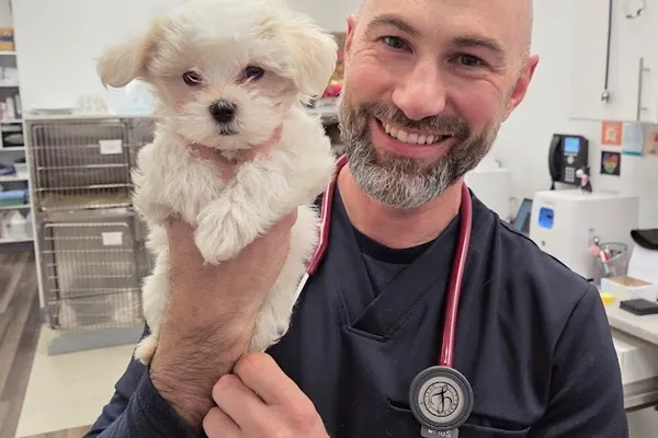 Virgil Animal Hospital