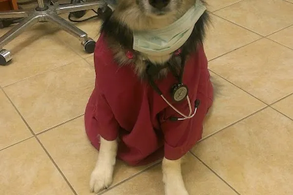Mcleod Road Animal Clinic