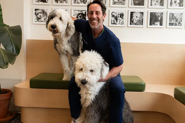 Upper Village Veterinary Hospital